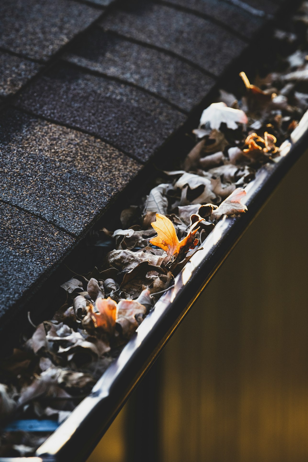 Gutter Cleaning