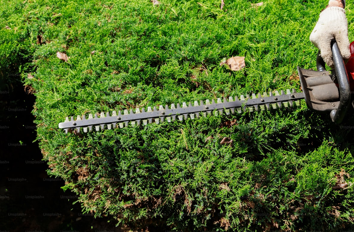 Shrub Trimming